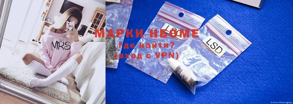 стаф Братск