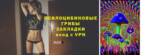 ГАЛЛЮЦИНОГЕННЫЕ ГРИБЫ Куйбышев