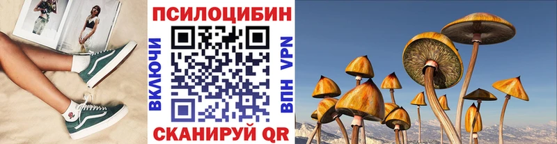 где купить наркоту  Шимановск  Галлюциногенные грибы мухоморы 